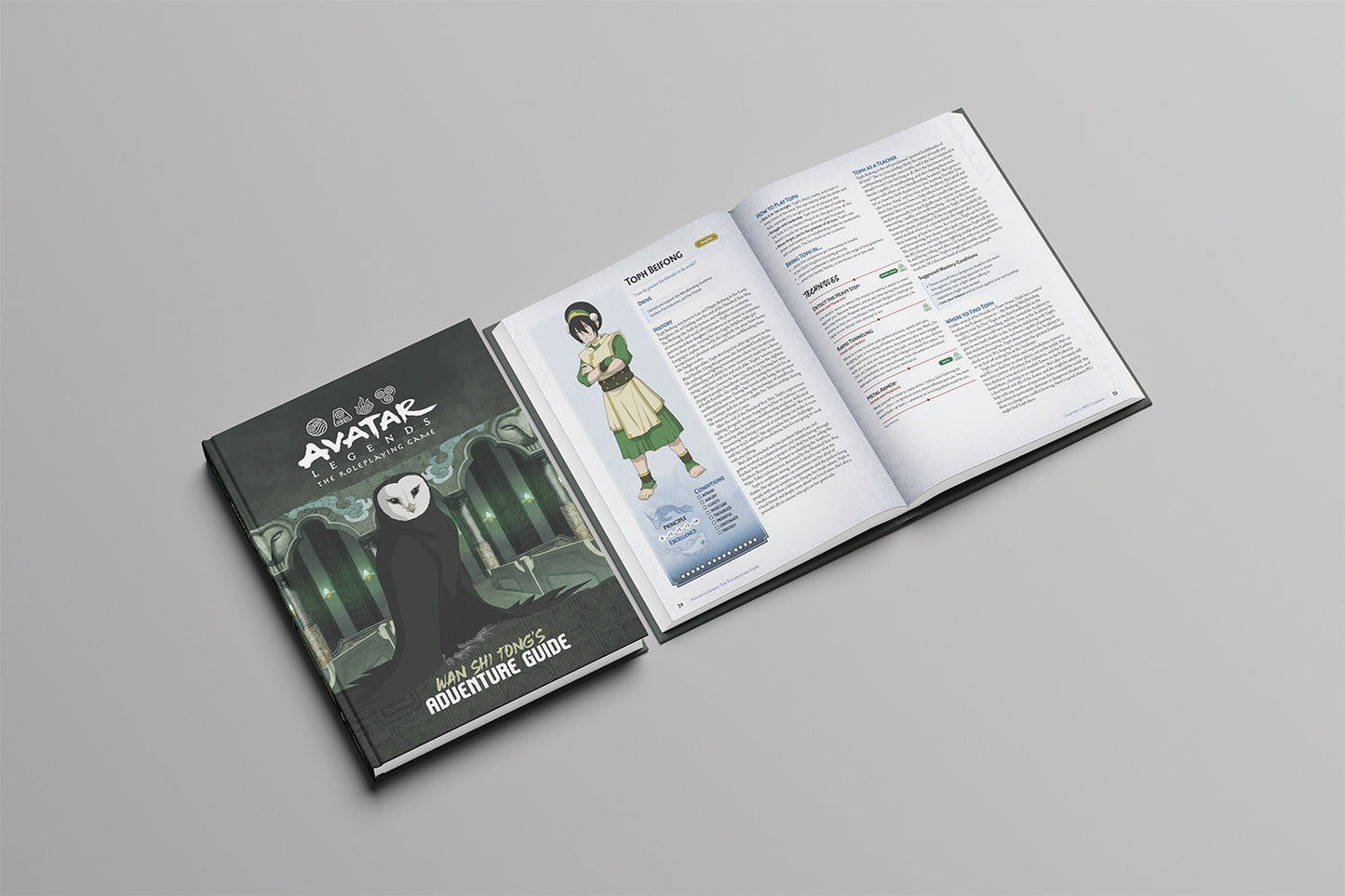 Wan Shi Tong's Adventure Guide (Avatar Legends)